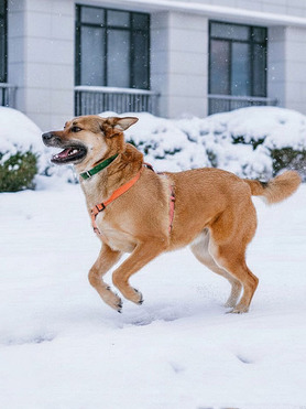 ������ ���� ���������� ������ - ���� 1 � ����������