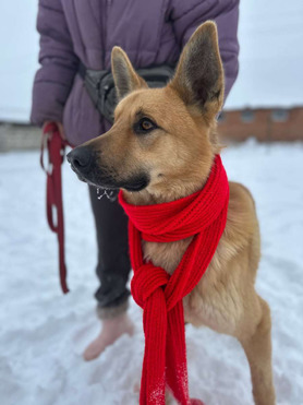 ������ ���� ���������� ������ - ���� 1 � ����������