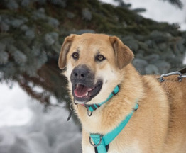 �������� ���������� ���� ��� � ������� �����! - ���� 1 � ����������