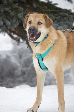 �������� ���������� ���� ��� � ������� �����! - ���� 1 � ����������