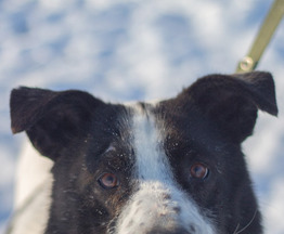 ������������� ����� ��� � ��� - ���� 1 � ����������