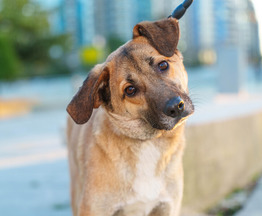 ����� ����������� � ��������� ������� � ������ ����� ���� ��� - ���� 1 � ����������