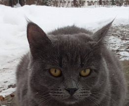 ���� ��� �������� ����� ���� - ���� 1 � ����������