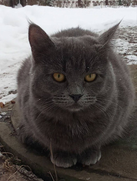 ���� ��� �������� ����� ���� - ���� 1 � ����������