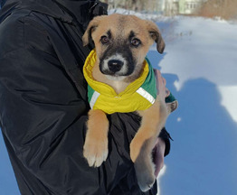 ������ ���� ���������� ������ - ���� 1 � ����������