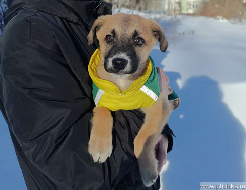 ������ ���� ���������� ������ - ���� 1 � ����������