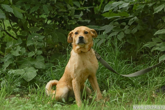 ����������� ������� ����� ���� ��� - ���� 1 � ����������