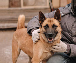 ������ ���� ���������� ������ - ���� 1 � ����������