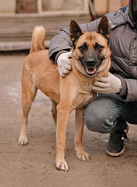 ������ ���� ���������� ������ - ���� 1 � ����������