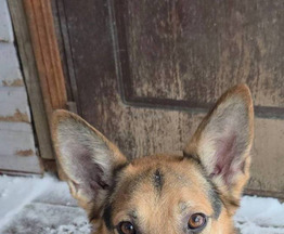 ��� ����� ���� ����� ���! - ���� 1 � ����������