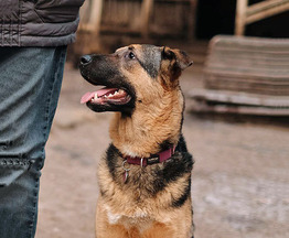 ������ ���� ���������� ������ - ���� 1 � ����������