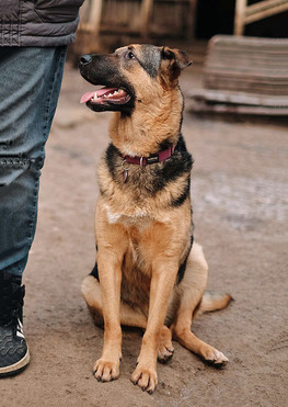 ������ ���� ���������� ������ - ���� 1 � ����������