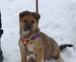 ���������� �������� ������ ����� ����� ��� � ����� - ���� 1 � ����������