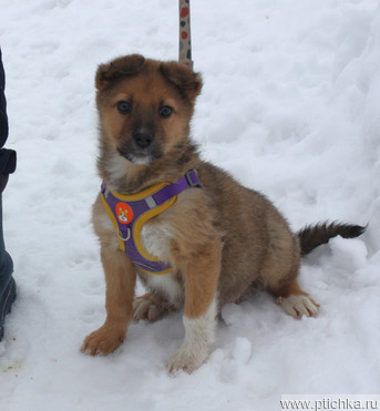 ���������� �������� ������ ����� ����� ��� � ����� - ���� 1 � ����������