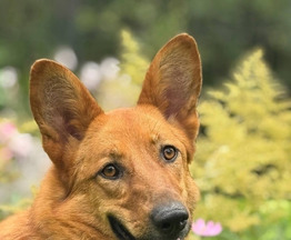 ����� � ��������� ����� � ������� ���� - ���� 1 � ����������