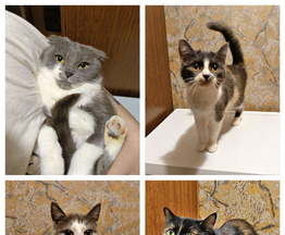 ����� ���� ���������� ������ - ���� 1 � ����������