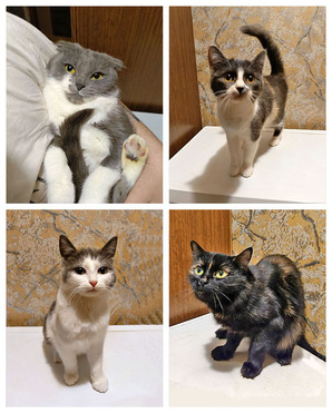 ����� ���� ���������� ������ - ���� 1 � ����������