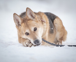 ������, ��������� ������ ���� ����� ����� ���� ������ �������, ��� ���� � �������� �� �������! - ���� 1 � ����������