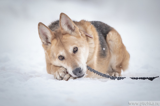 ������, ��������� ������ ���� ����� ����� ���� ������ �������, ��� ���� � �������� �� �������! - ���� 1 � ����������