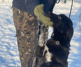 ��� �������������� �������-������� � ��� - ���� 1 � ����������