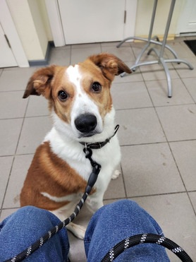 ������������� ��� �������� � ������ ���� - ���� 1 � ����������