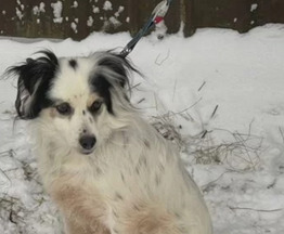 ��������� ����� ��� ����� ��������� � ���� - ���� 1 � ����������