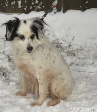 ��������� ����� ��� ����� ��������� � ���� - ���� 1 � ����������