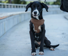 ��� ��������� �������, ������� ����� ����� ����� ����-�� �������� - ���� 1 � ����������