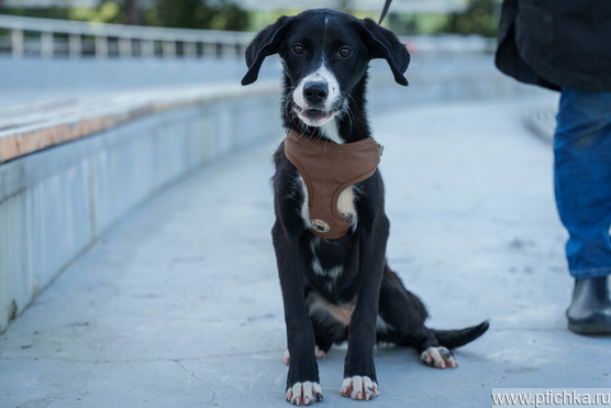 ��� ��������� �������, ������� ����� ����� ����� ����-�� �������� - ���� 1 � ����������