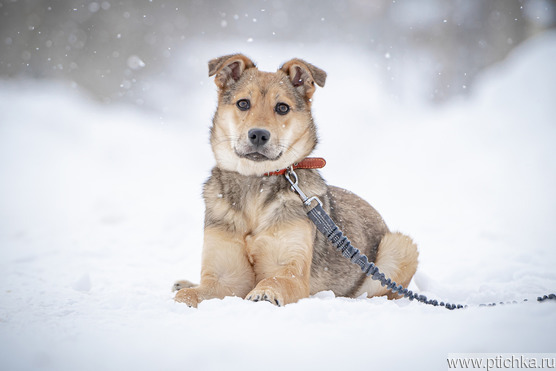 �������� �������� ���� ����� ���� ������ ������� ��������. - ���� 1 � ����������