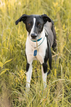 ������ ���� ���������� ������ - ���� 1 � ����������