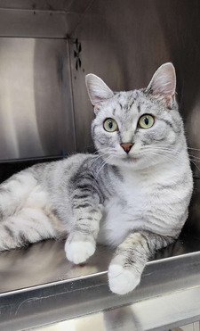 ����� ���� ���������� ������ - ���� 1 � ����������