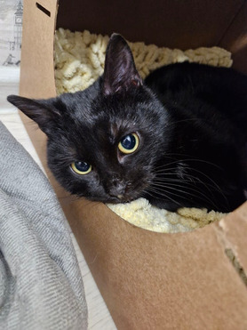 ���� ��� ������� ����� - ���� 1 � ����������