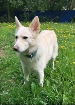 ������ ���� ���������� ������ - ���� 1 � ����������