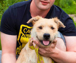 ������ ���� ���������� ������ - ���� 1 � ����������