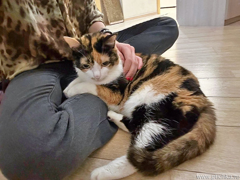 ����� ���� ���������� ������ - ���� 1 � ����������