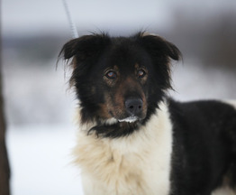 ������� � �������� �� ������ � ������ ���� - ���� 1 � ����������