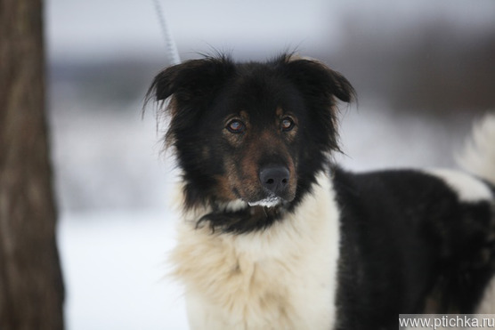 ������� � �������� �� ������ � ������ ���� - ���� 1 � ����������