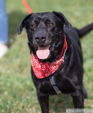 ����������� ���� ���� ��� � �����! - ���� 1 � ����������