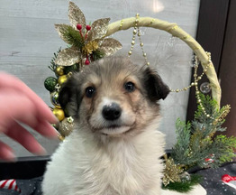 �������� ������� ����� ���� ���. � ������ ����. - ���� 1 � ����������