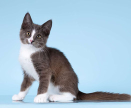 ������� ������� ����� ���� ���������� ������ - ���� 1 � ����������