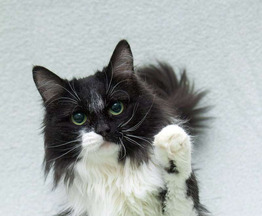 ��������� ����� ���� ���������� ������ - ���� 1 � ����������