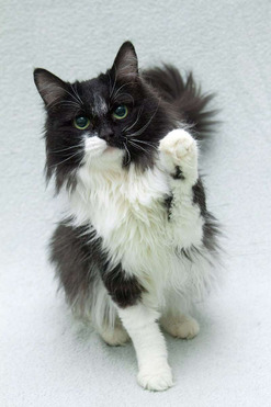 ��������� ����� ���� ���������� ������ - ���� 1 � ����������