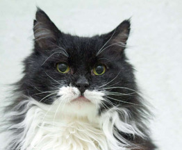 ��������� ����� ���� ���������� ������ - ���� 1 � ����������