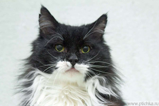 ��������� ����� ���� ���������� ������ - ���� 1 � ����������