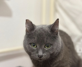 ��� ��� �������, ������� �� ������� ������� - ���� 1 � ����������