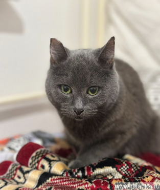 ��� ��� �������, ������� �� ������� ������� - ���� 1 � ����������