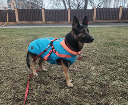 �������� ������� ���� ���������� ������ - ���� 1 � ����������