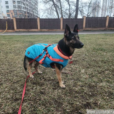 �������� ������� ���� ���������� ������ - ���� 1 � ����������