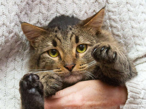 ��������� ����� ���� ���������� ������ - ���� 1 � ����������